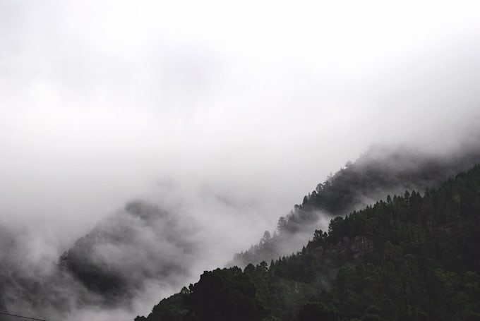 write environmental, sustainability and esg content and reports