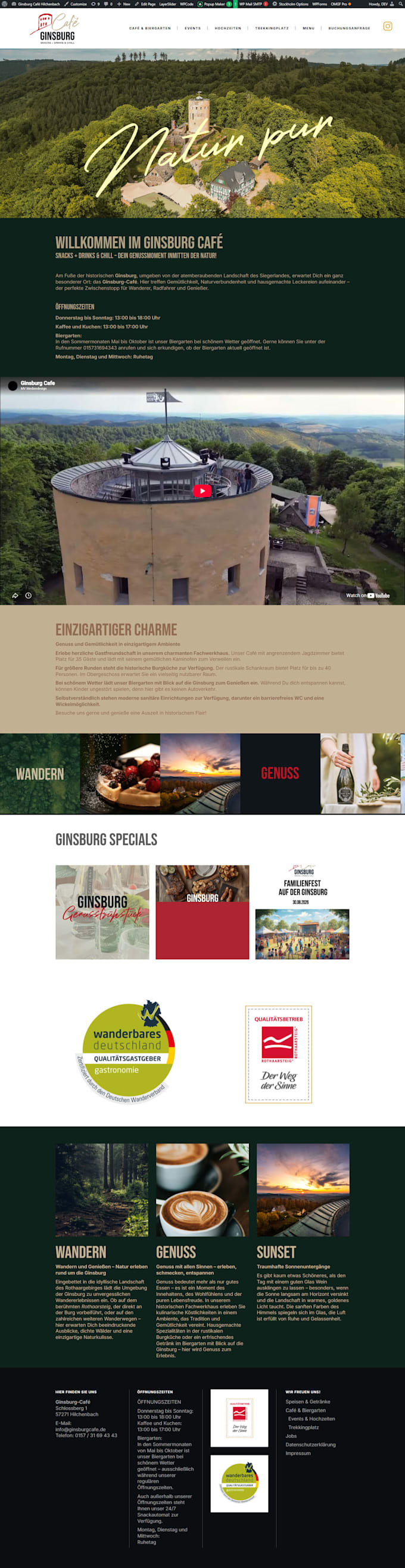 design a professional wordpress website using elementor pro