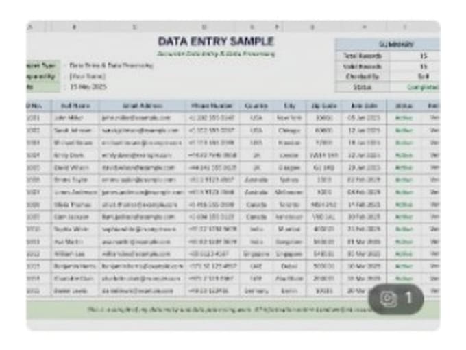 do accurate data entry and excel data processing