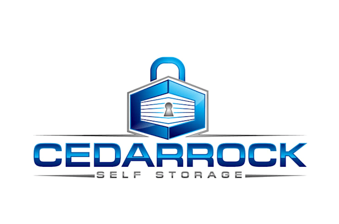 create a unique storage logo with a clean and memorable