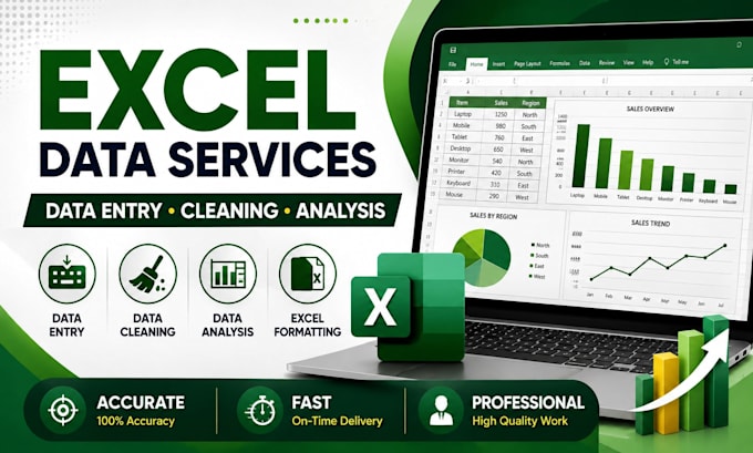 excel data entry, data cleaning and formatting