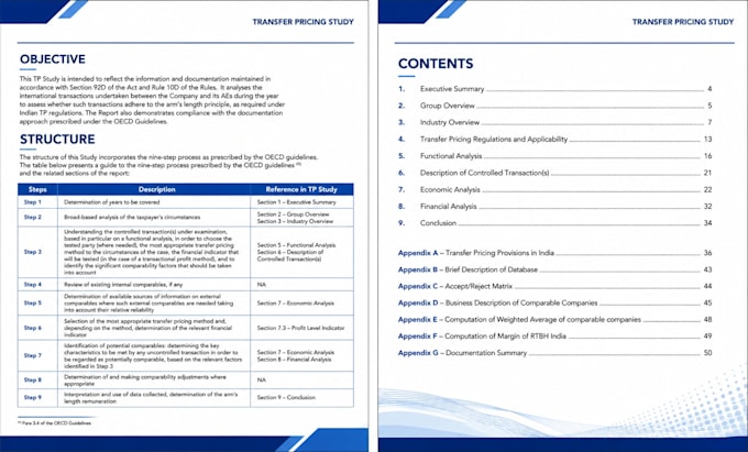 prepare transfer pricing documentation and benchmarking studies