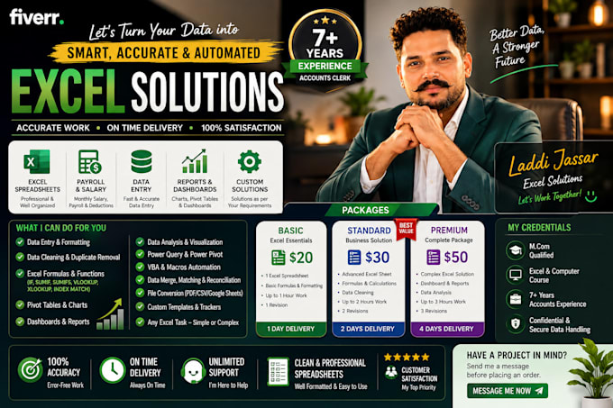 create professional excel formulas, payroll, reports, pivotable, v lookup etc