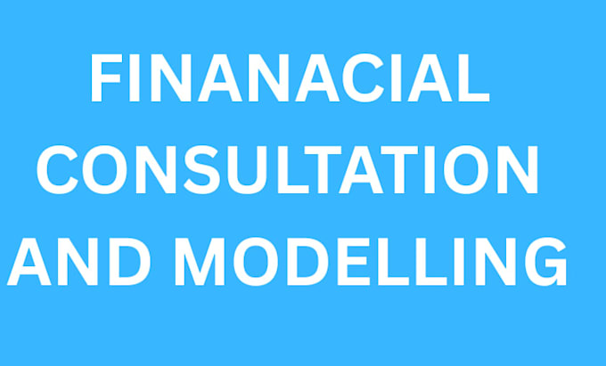 do financial modelling, financial audit, financial consultation