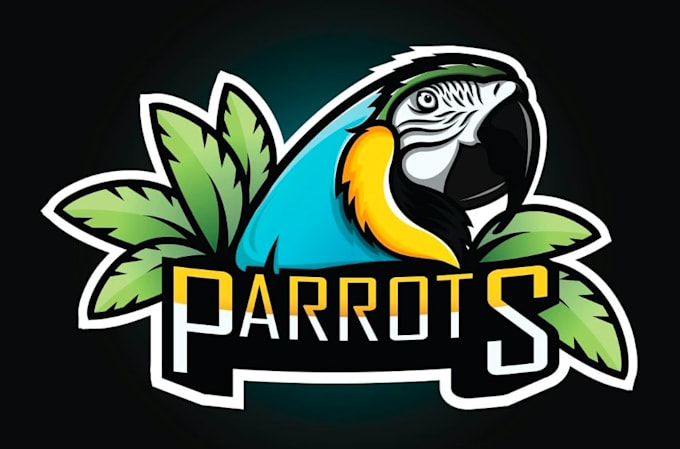 create amazing hamming bird mascot logo design