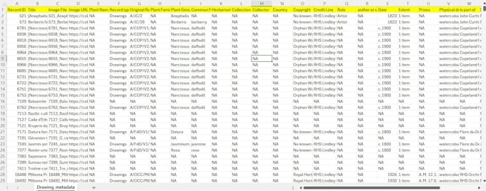 do custom python web scraping and data extraction