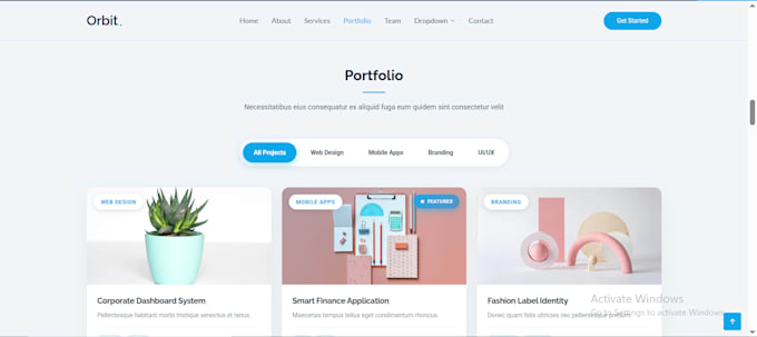 develop custom  web application and desktop application