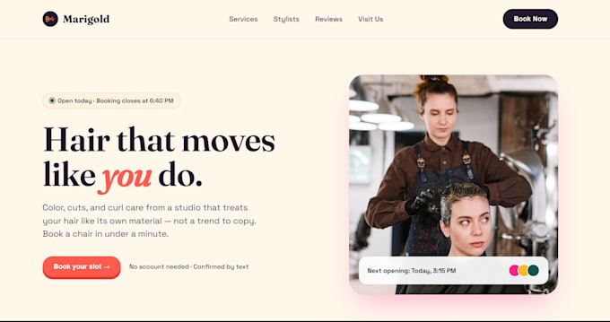 design your landing page or mini website in 48 hours