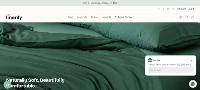 build an automated shopify store and website
