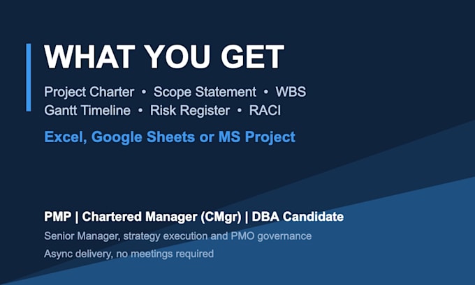 create a professional project plan with wbs, gantt timeline and risk register