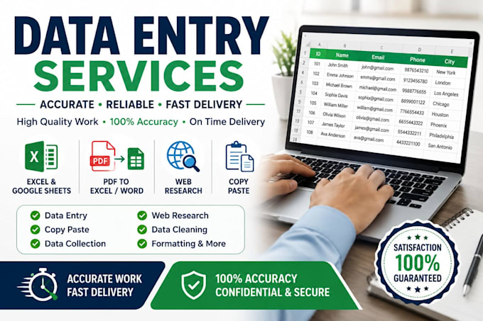do professional data entry, excel, web research and copy paste