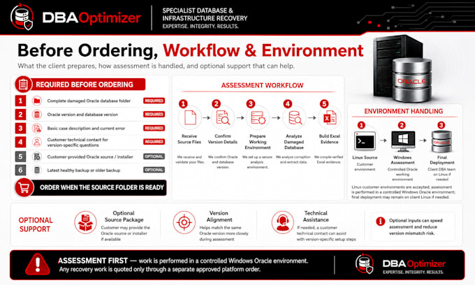 assess damaged oracle databases and provide technical recovery evidence