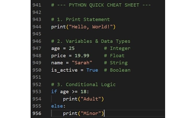 teach python programming to beinners step by step