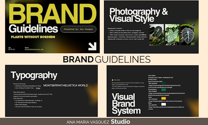 create professional brand guidelines and visual identity