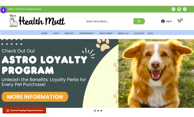 build a profitable pet shopify store pet website pet store dropshipping store
