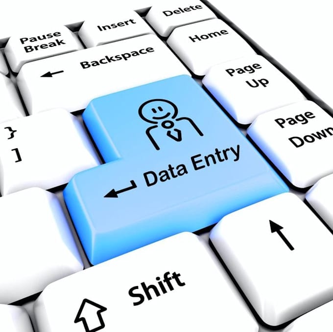 do professional excel data entry and create income tracking sheets