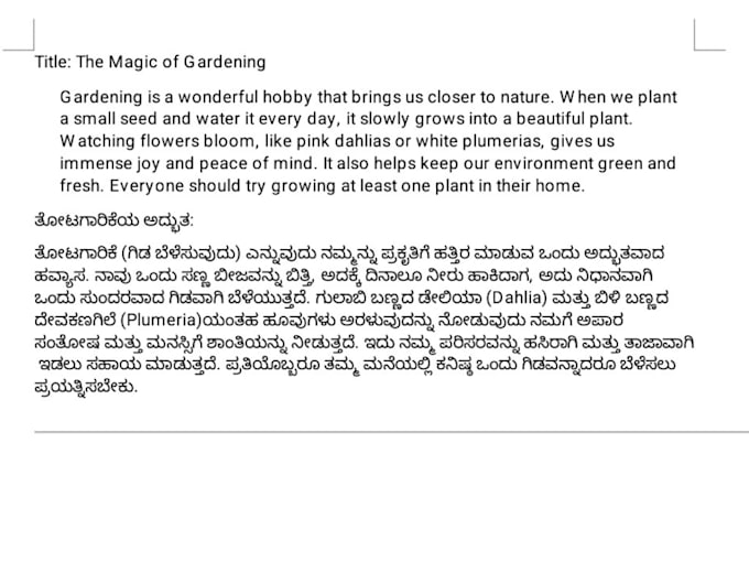 provide professional english to kannada translation services