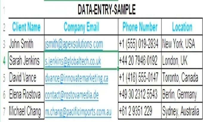 do professional excel data entry and copy paste work