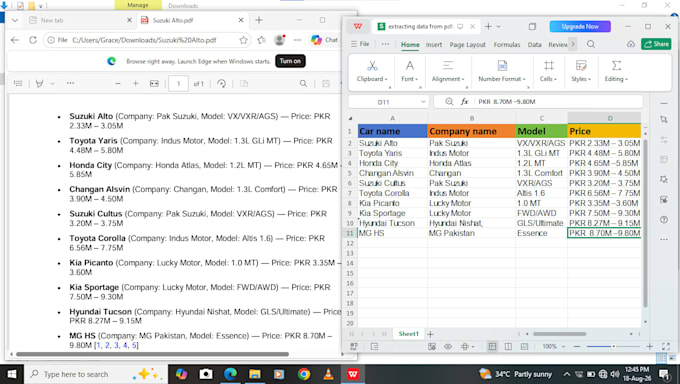 do data entry, data cleaning, PDF images to excel conversion