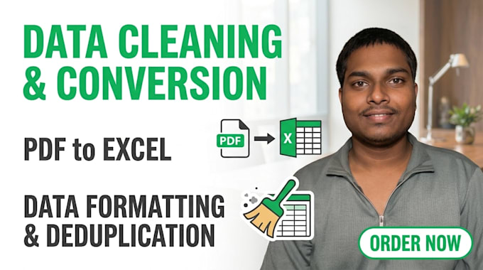 convert PDF to excel, clean messy data, and format spreadsheets