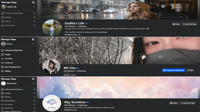 be your professional facebook page manager and content creator