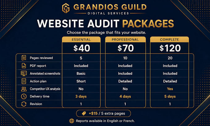 perform a professional UX UI and responsive website audit