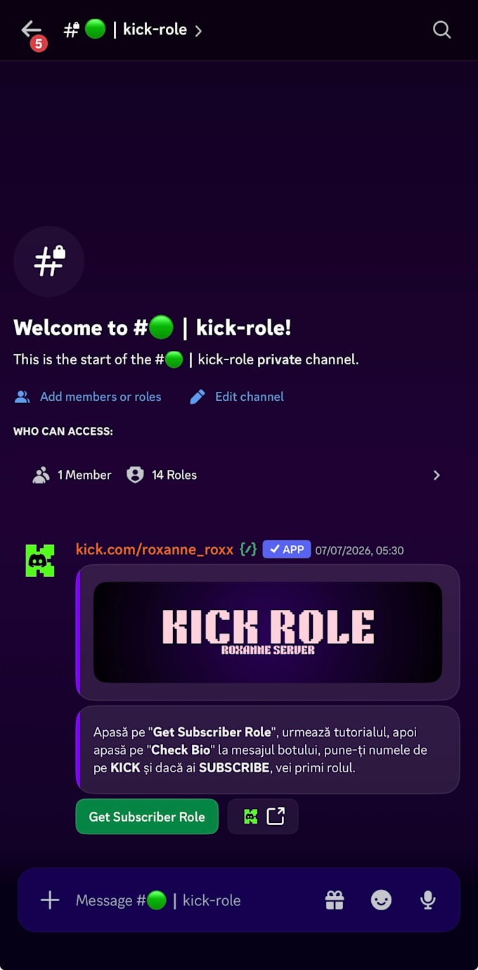 design and set up a professional discord server for you