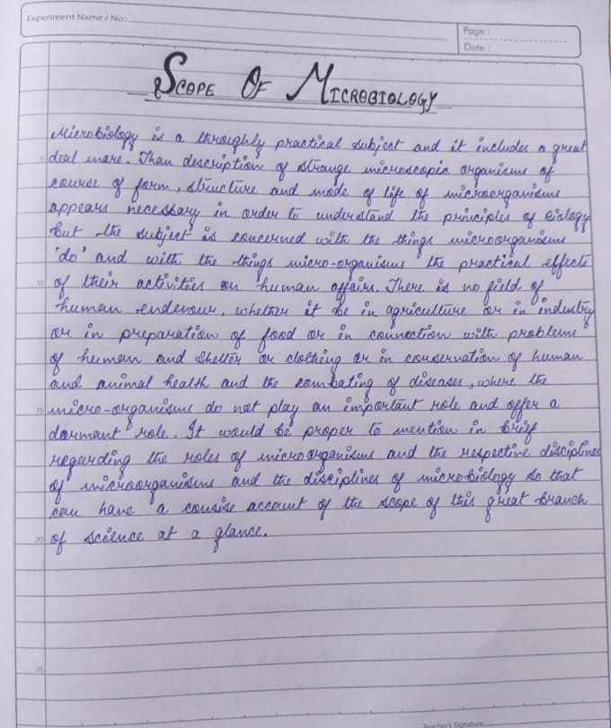 provide beautiful handwriting services