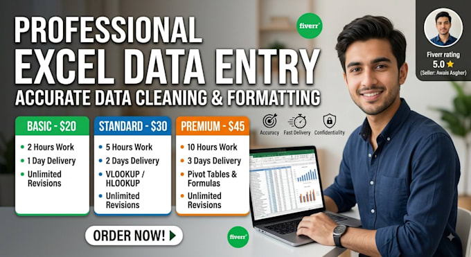 do excel data entry and data cleaning work