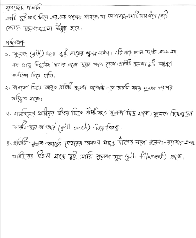 do neat and beautiful handwritten notes and copying