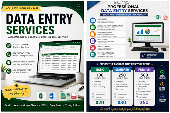 do accurate data entry and excel data formatting