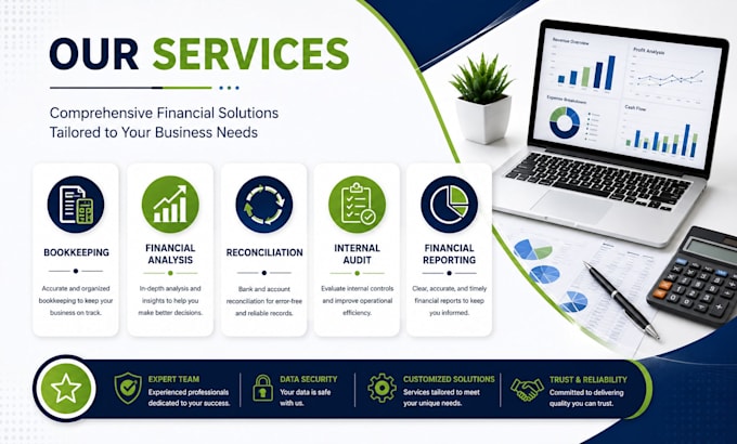 provide professional internal audit and financial analysis services
