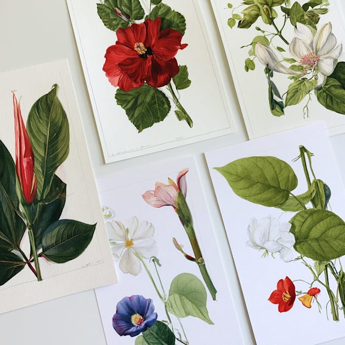 design elegant botanical illustrations for branding