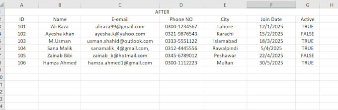 do best quality and error free data entry