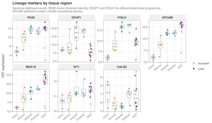do rna seq differential expression analysis in r with deseq2
