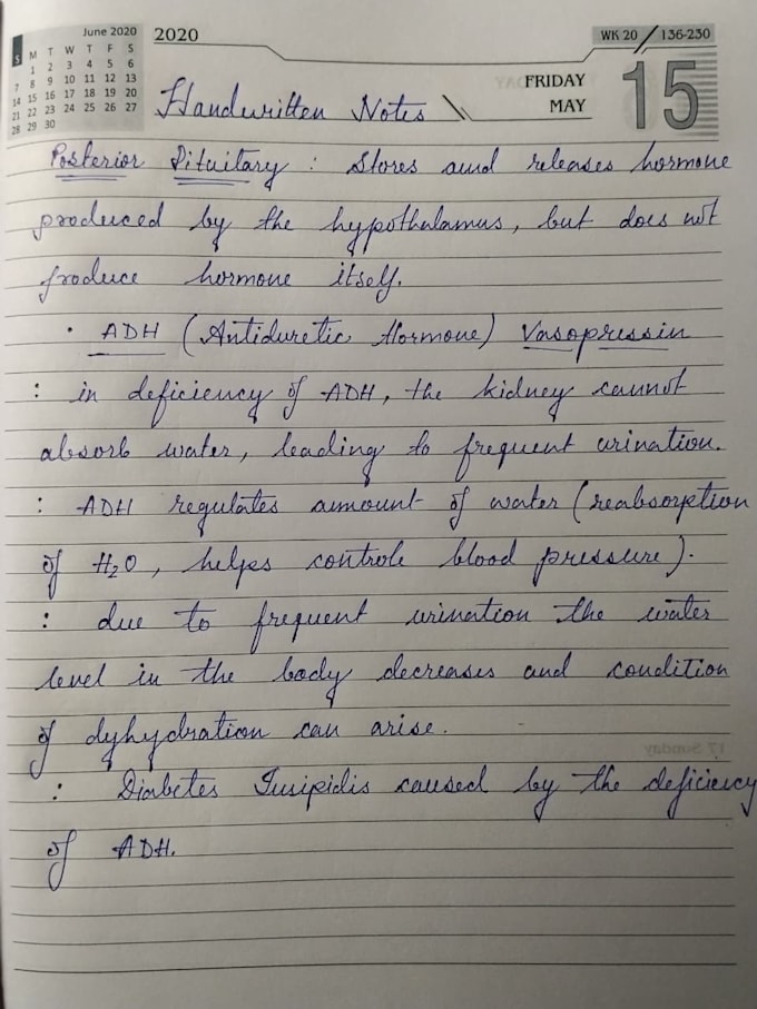 provide beautifully handwritten notes