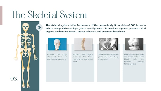 design medical and anatomy canva presentations