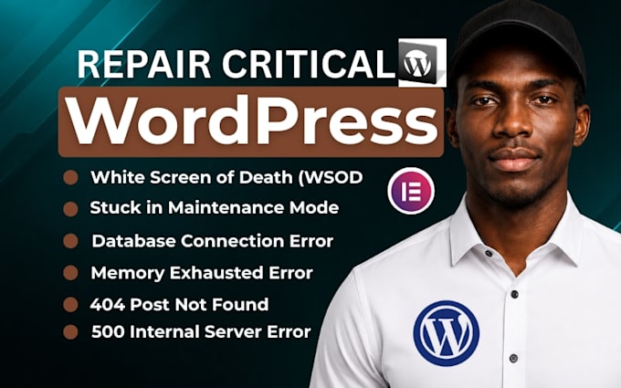 repair any problems on wordpress bugs and elementor errors