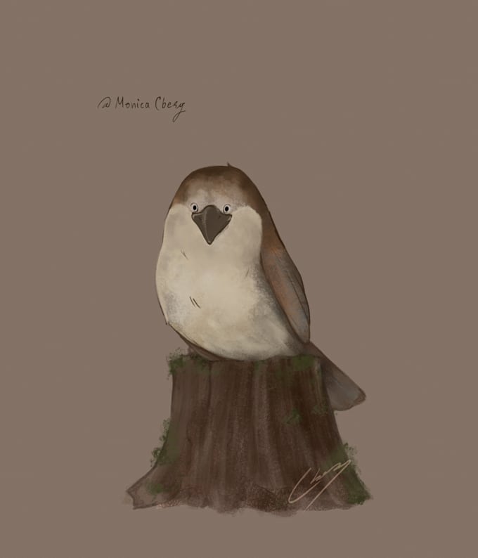 create a custom digital illustration