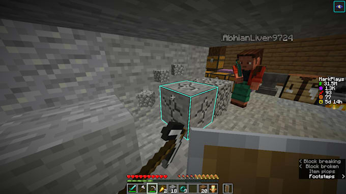 play minecraft java edition with you