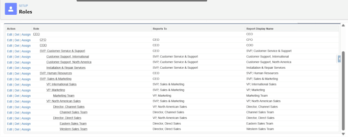 setup salesforce roles and profiles and security