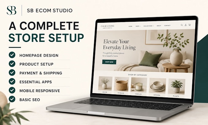 design or redesign a professional shopify ecommerce store