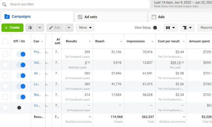 setup, manage and optimize google ads PPC campaigns for 4x to 22x roas