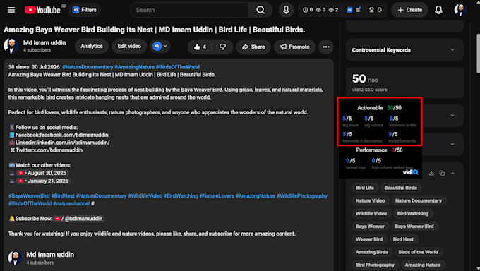provide youtube SEO services and video ranking optimization
