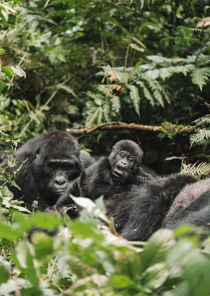 write engaging blogs about uganda, travel, lifestyle and relationships
