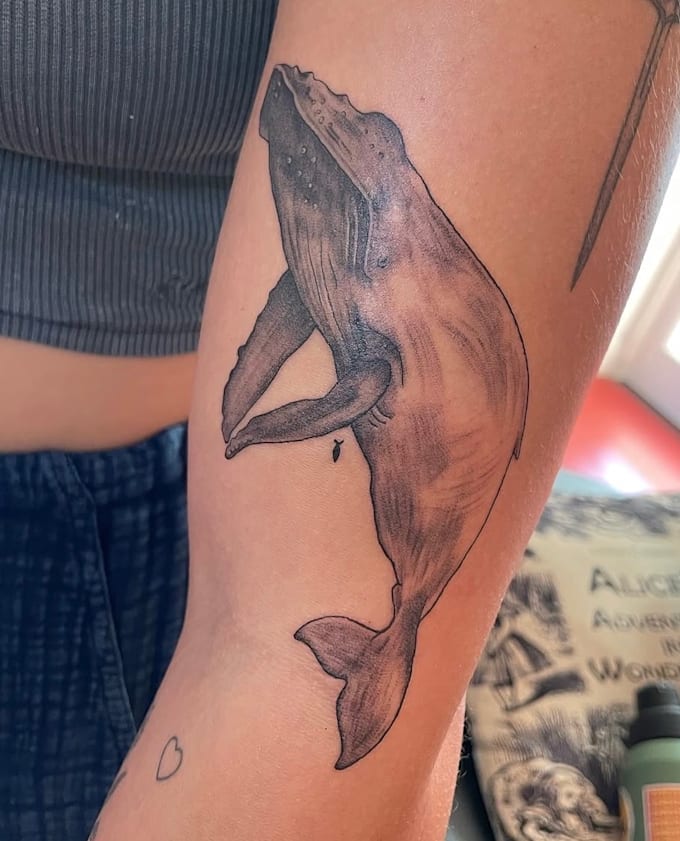 illustrate a custom tattoo