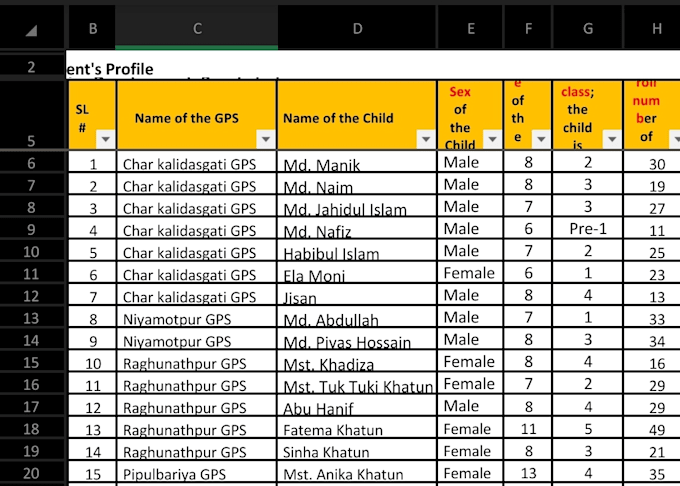 do excel and word data entry