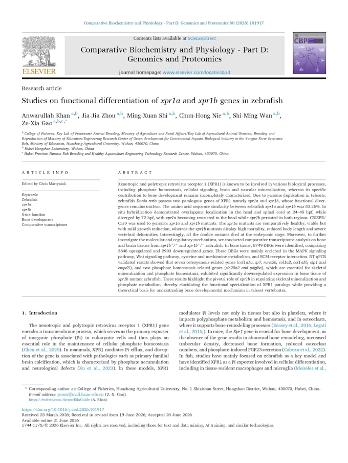 edit your research paper or journal article