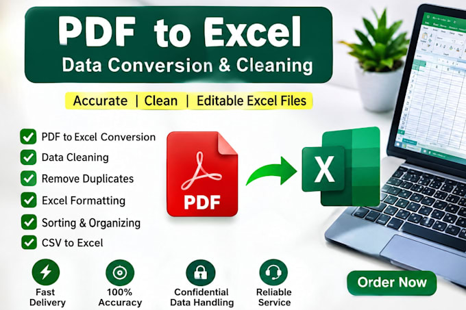 clean, format and convert PDF data to excel