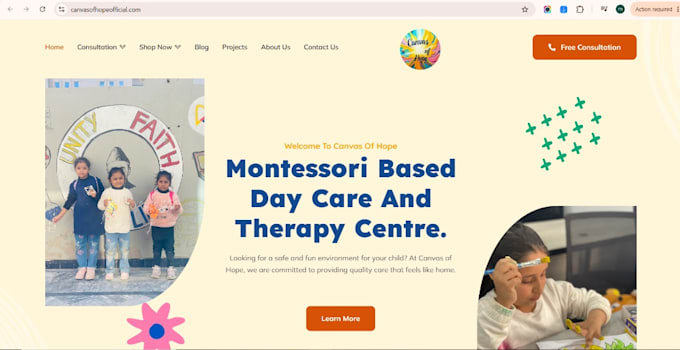 design and develop a professional wordpress website and blog